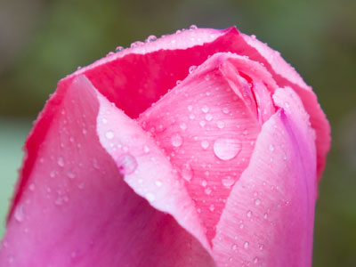 My camera and I were also covered with raindrops.