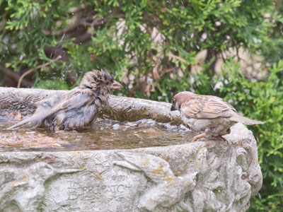 `Someone always shows up when I`m in the bath!`