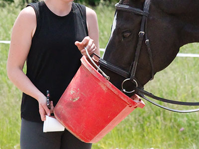 I would`ve paid money for some water from that bucket.