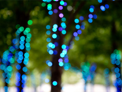 Christmas lights are still up (see December 11, 2020).  I`m cool with that.