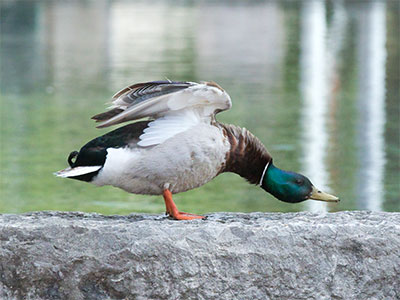 There`s nothing better than morning yoga in the park.