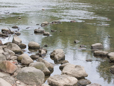 We`re very lucky to have plenty of water around here.