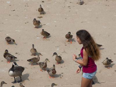 I`m not sure feeding the birds is really helping the birds.