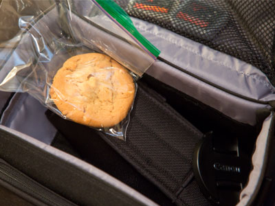 My camera bag doubles as a cookie bag.