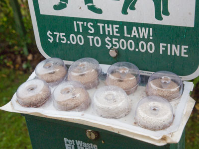 I`m not sure leaving donuts for homeless people is really helping homeless people (see September 12 above).