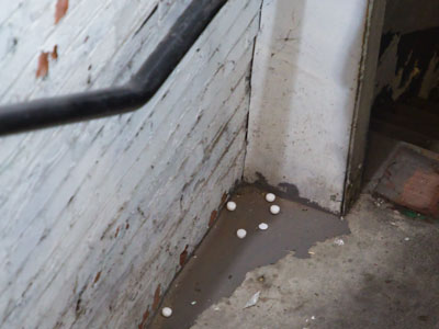 People evidently live, eat and sleep inside my parking garage, so I wonder if the smelly mothballs are intended to keep them away (see September 16 above).