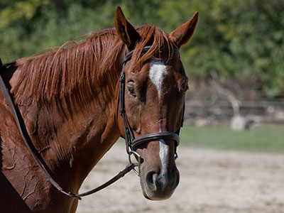 It was a beautiful day to be out.  I didn`t get rained on!