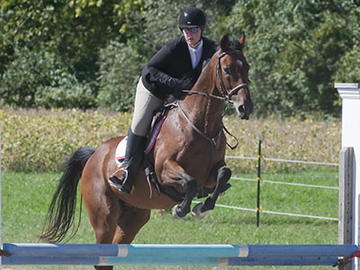 Fall has fallen and equestrian season is winding down.