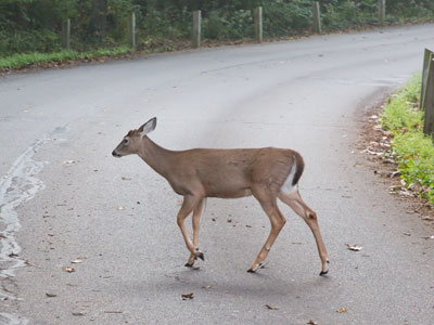 No that`s fine.  You go ahead.  I`ll just wait here.