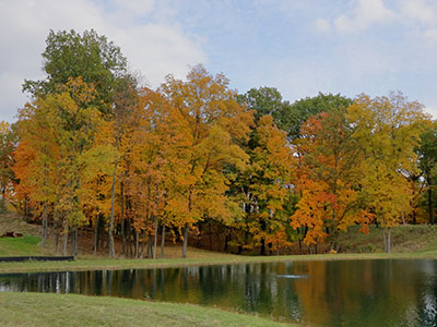 A tranquil scene on an autumn afternoon.