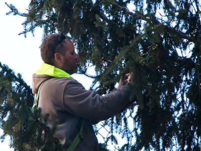 That`s a big tree for one person to decorate.