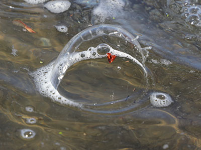 A tiny leaf hitching a ride on a bubble.