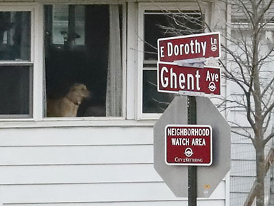 Part of the neighborhood watch team.