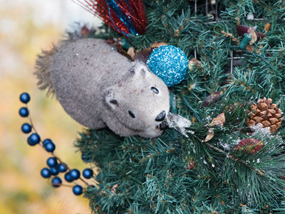 Christmas rodent.