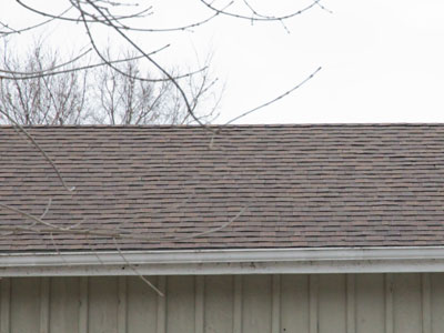 New roof finished already (see February 10 above).