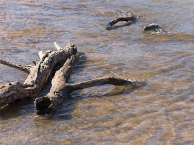 This is not the river.  This is a sidewalk next to the river.