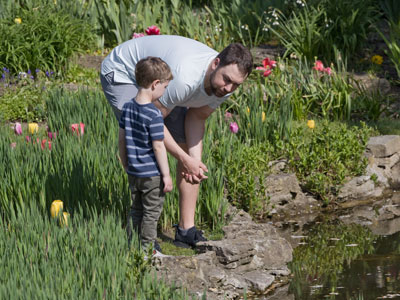 Discussing the possibility of adopting some tadpoles.