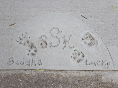 Relics of the sidewalk repair (see May 5 and 13 above).