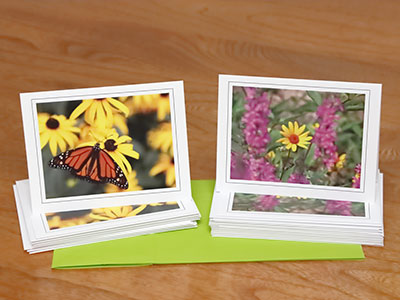 You want to buy notecards with my photos, right?