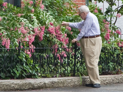 During a lull in the storms, he came outside to shake rainwater off of his flowers.