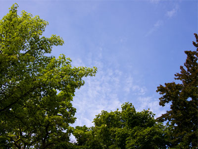 Monday mornings have a bad reputation, but I`m grateful to be outside on this beautiful summer day.