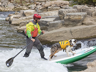 Surf dog!