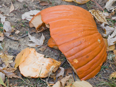 Could this be from my porch (see October 11 above)?