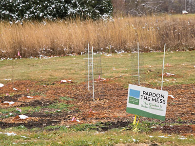 My favorite prairie is going to look different next year.