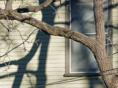 Through that window is my kitchen, and my refrigerator, and the calendar seen in the previous photo.