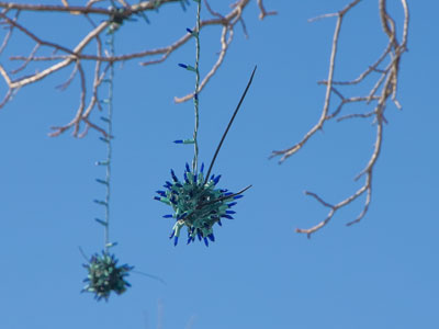 I hate it when Christmas lights get all tangled up.