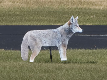 It would spin when the wind blew, making it seem even more incredibly lifelike.