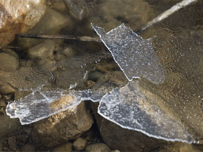 The icy pond creaked and cracked in the warm sun.