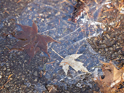 Autumn on ice.