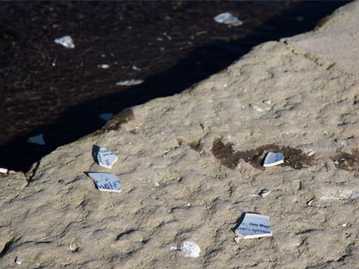 Another plate with writing on it smashed by the river (see December 20, 2022). Someone thinks they`re being creative, but really they`re just littering.