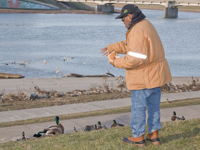 It`s National Feed Moldy Bread to Ducks and Make Them Sick Day.