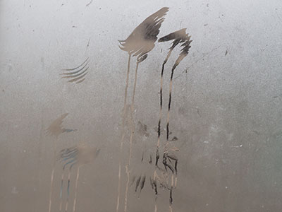 A bird flew into this foggy window and left wing prints.