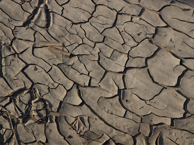 Mud, mud, glorious mud!  There`s nothing quite like it for soothing the blood. FLANDERS AND SWANN