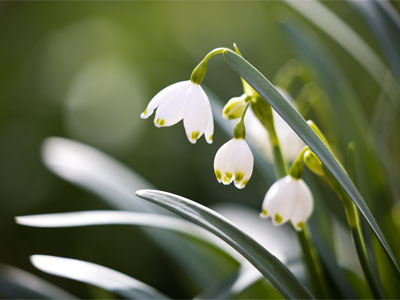 This tranquil image was taken amid noisy weed whips.