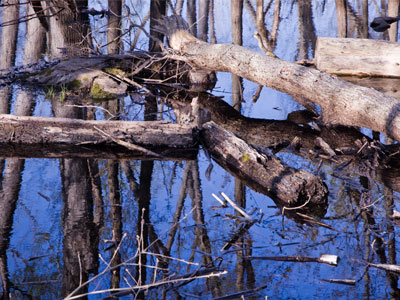 Little kid:  `Look mommy, a water!` Mommy didn`t care.