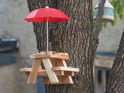 Yes, it`s a picnic table for squirrels.