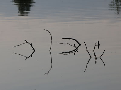 A morning walk in nature is a good time for reflection.