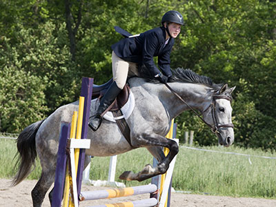 The horse`s name is Oreo.