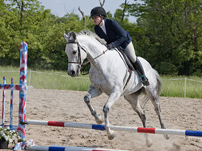 The horse`s name is What She Wants.