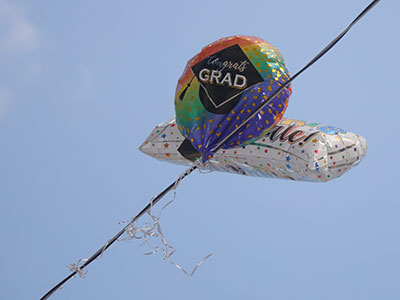 Thinking of having a celebratory balloon release?  Don`t.