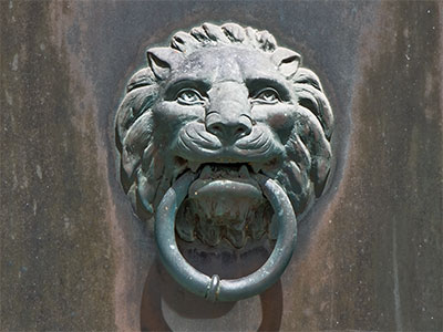 Lion No. 2.