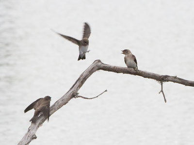 Three`s a crowd.