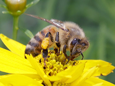 Taking nature photos in the morning gives me a buzz.