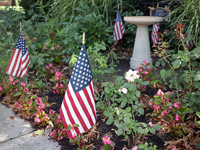 Patriotic plants.