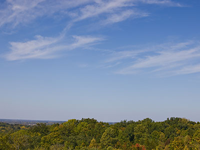 The sky was more interesting than the leaves today.