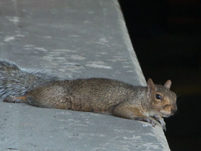 Break time for the parking garage attendant.